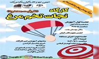 کارگاه نجات تخم مرغ 